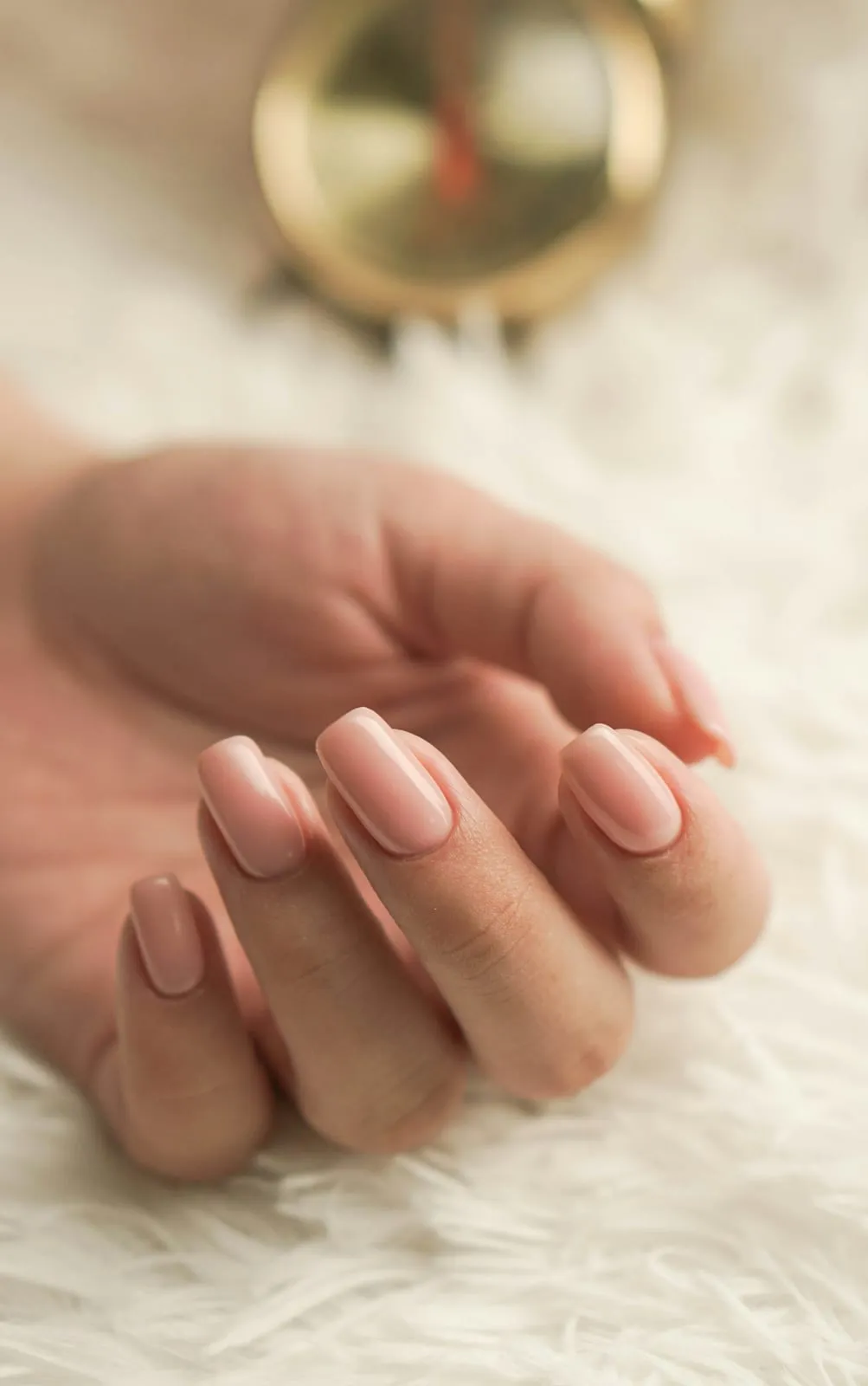 Hands with a glossy pale pink manicure resting on soft white fur